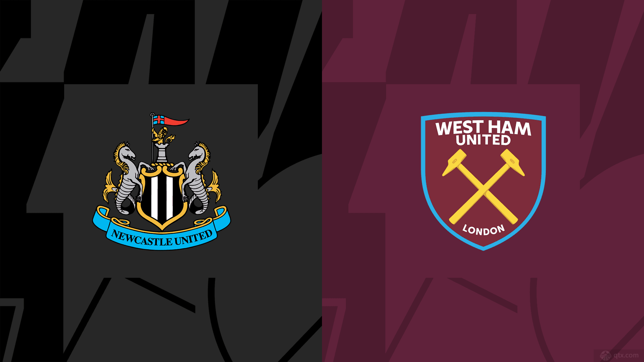 的泳坛新星 的泳坛新星